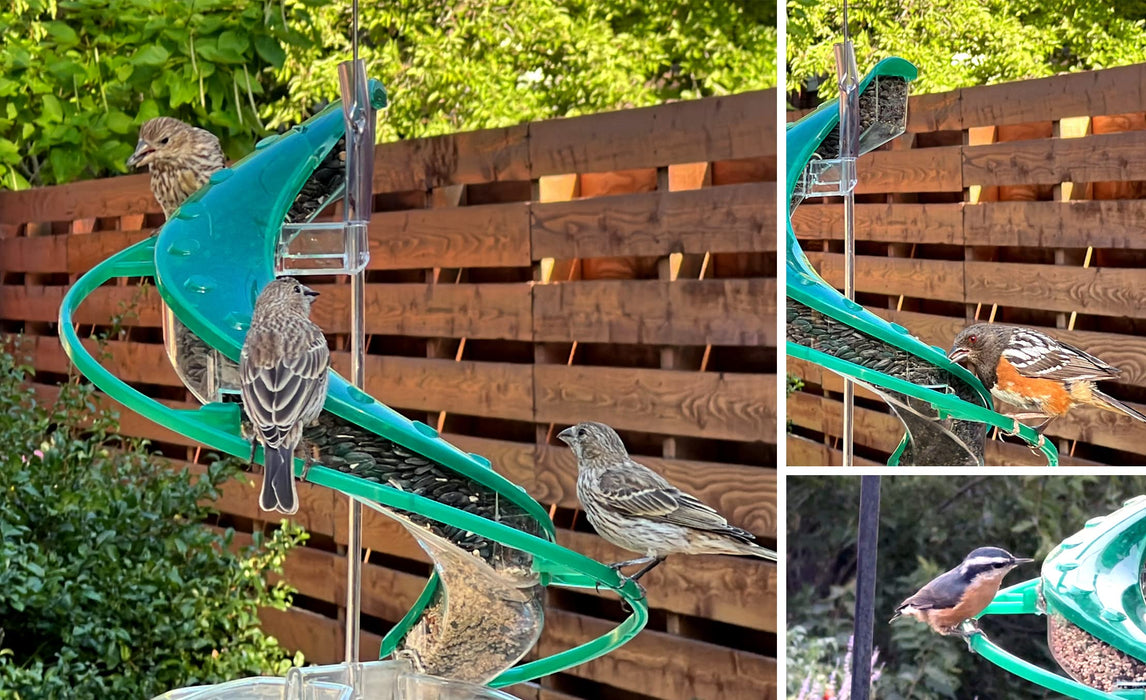 CASCADE CASCADE HELIX SONGBIRD SEED FEEDER