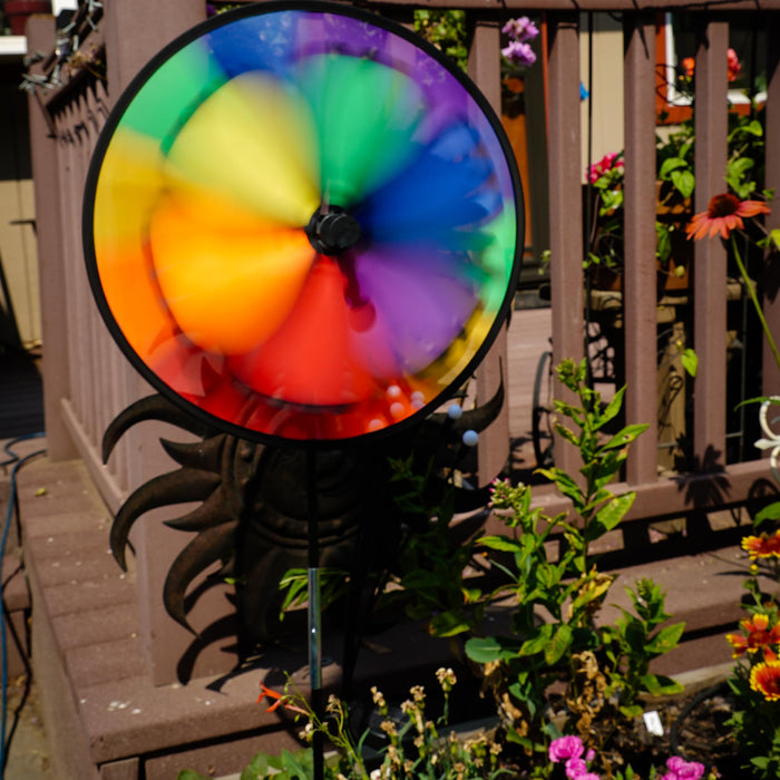 Rainbow Dazy Wheel Ground Spin