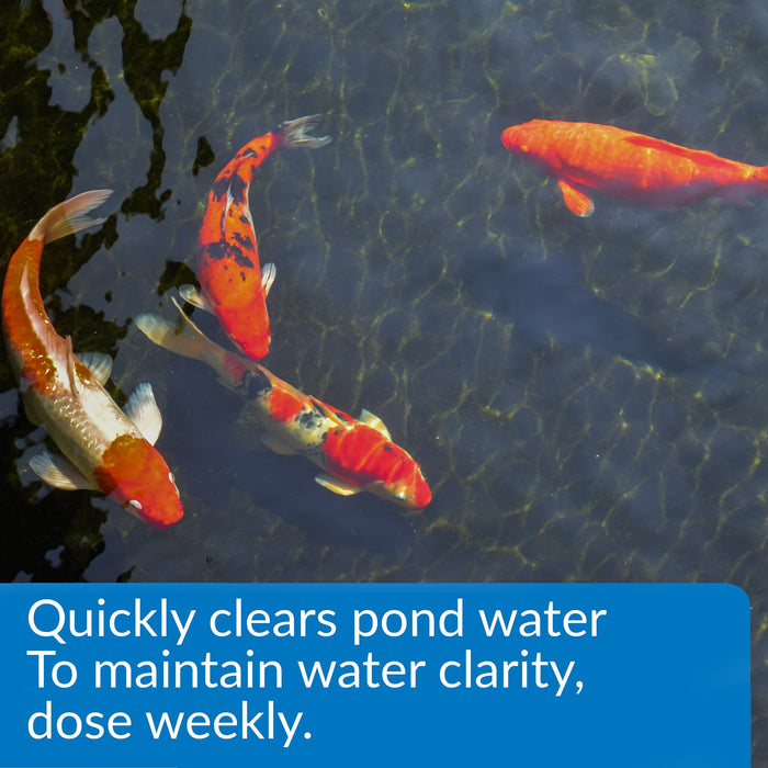 API POND ACCU-CLEAR WATER CLARIFIER