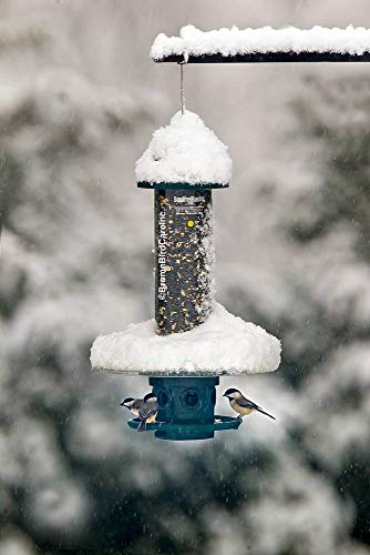 Weather Guard for Squirrel Buster Plus Bird Feeder (Feeder NOT Included)