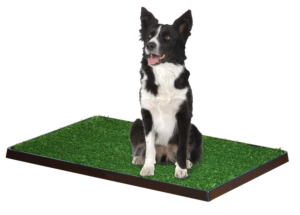 WEE-WEE PATCH INDOOR POTTY