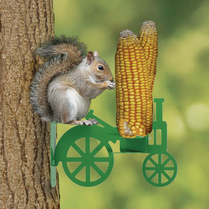 Squirrel Tractor Feeder