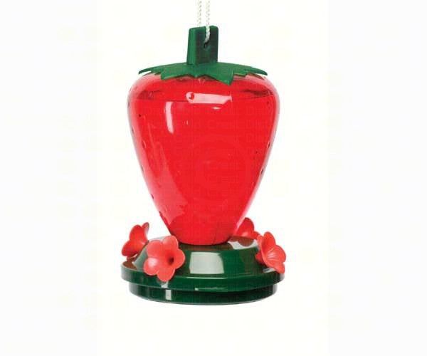 Strawberry Feeder 24oz.