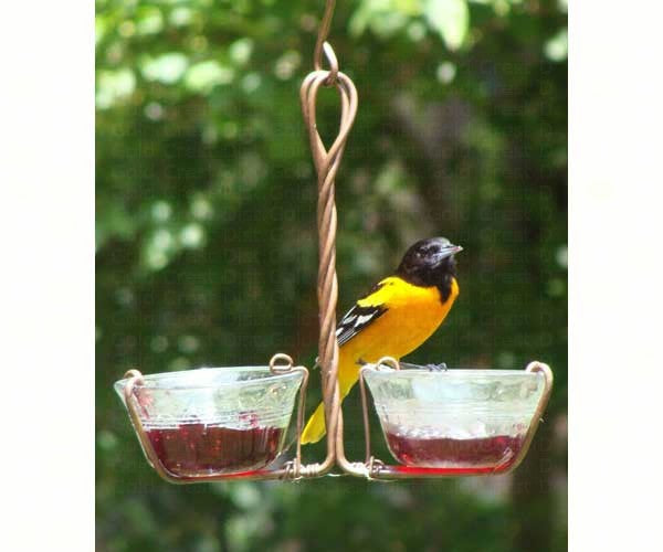 Two Cup Jelly Feeder