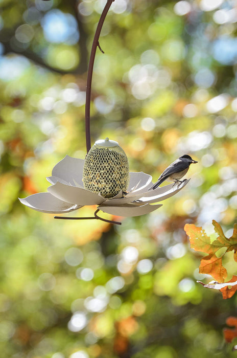 Desert Steel Coneflower Bird Feeder