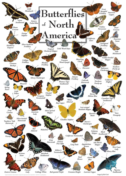 MasterPieces Puzzles Butterflies of North America 1000 Piece Puzzle