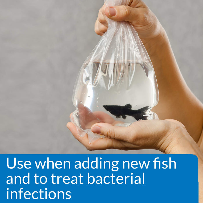 API MELAFIX FISH REMEDY