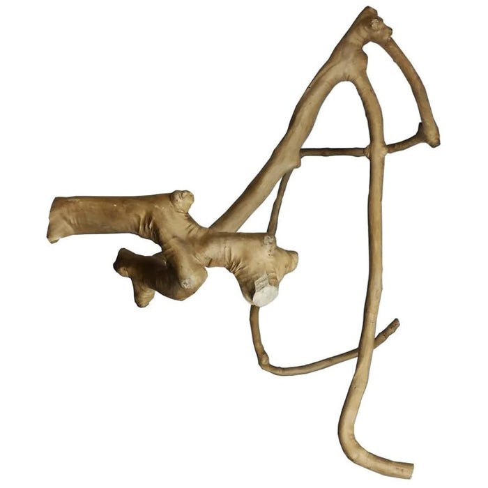 JAVA WOOD MULTI-BRANCH PERCH