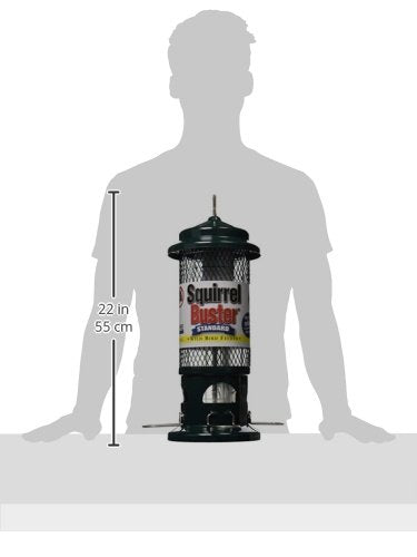 Squirrel Buster Standard Squirrel-proof Bird Feeder w/4 Metal Perches, 1.3-pound Seed Capacity, garden green