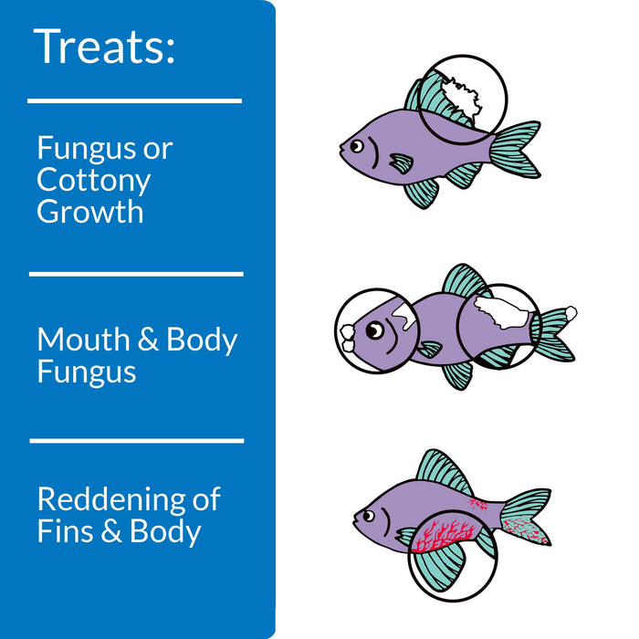 API PIMAFIX ANTIFUNGAL FISH MEDICATION