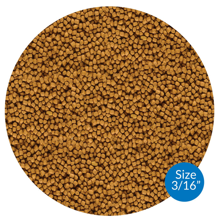 API POND FISH FOOD