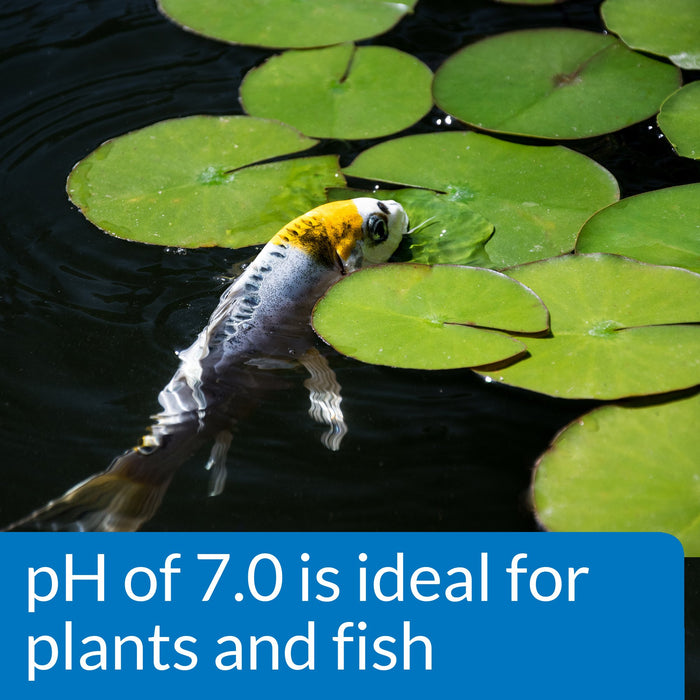 API POND LIQUID WIDE RANGE PH TEST KIT