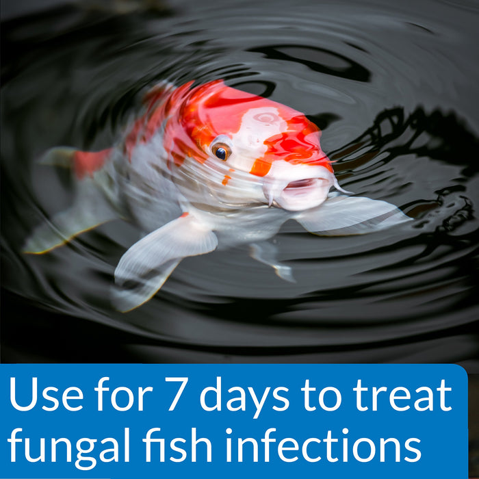API POND PIMAFIX ANTIFUNGAL REMEDY
