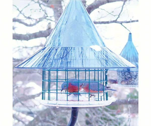 Arundale Sky Café Bluebird Feeder AR400