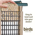 Birds Choice Double Cake Pileated Suet-Taupe and Green Recycled Plastic