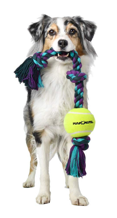 MAMMOTH KNOT TUG W/TENNIS BALL