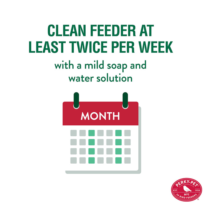 Perky-Pet 8107-1SR Antique Glass Bottle Hummingbird Feeder - Outdoor Garden Décor Hummingbird Feeder