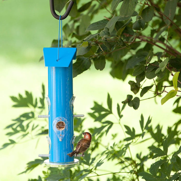 Perky-Pet Blue Metal Tube Wild Bird Feeder - 1 lb Capacity for Wild Bird Seed - Durable Construction - 391
