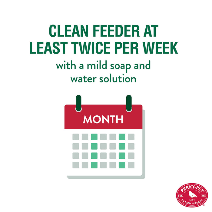 Perky-Pet Looking Glass Hummingbird Feeder - 8110H-1 - Humming bird Feeder for Outdoors - 32 oz Nectar Capacity