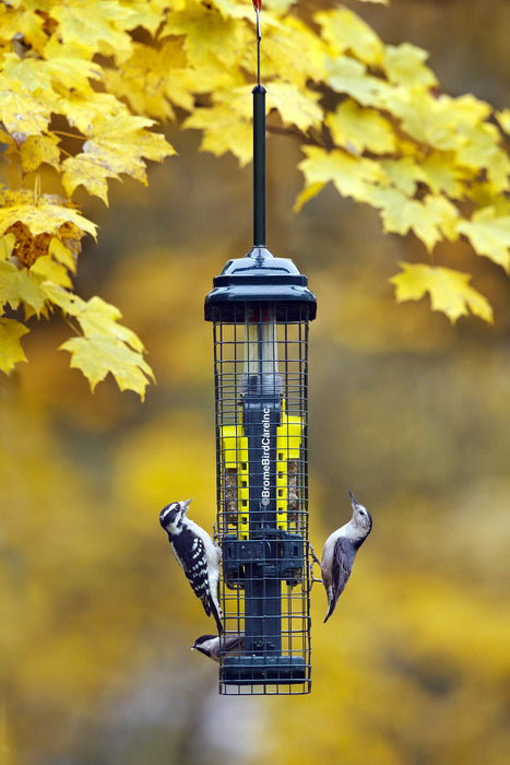 Squirrel Buster Suet Squirrel-Proof Suet Bird Feeder with Two Suet Cake Trays, Two Crumb Ports, Mess-Free Suet Loading, Durable Green Design for Clinging Birds