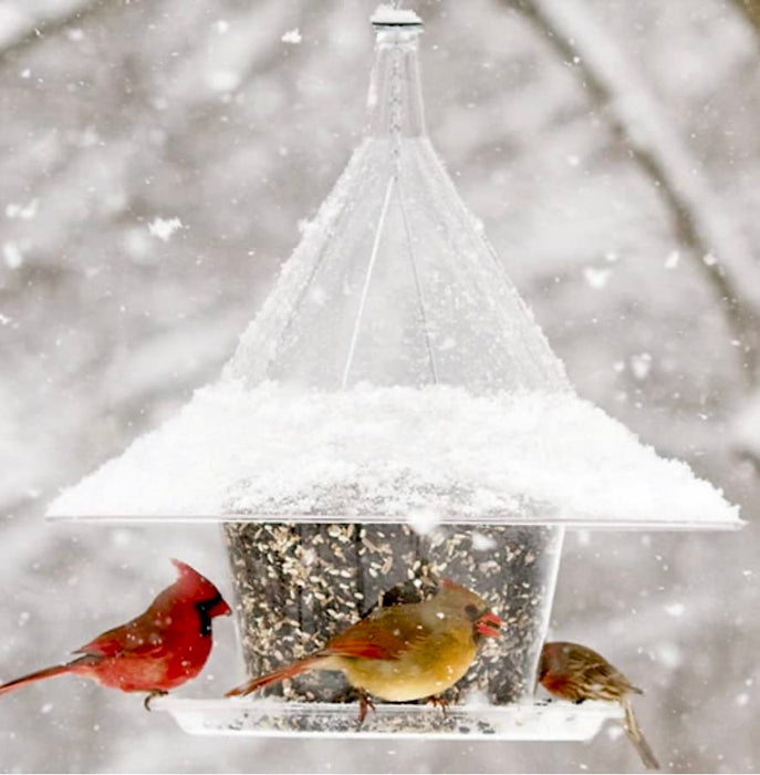 Arundale Sky Café Bird Feeder AR360, Clear