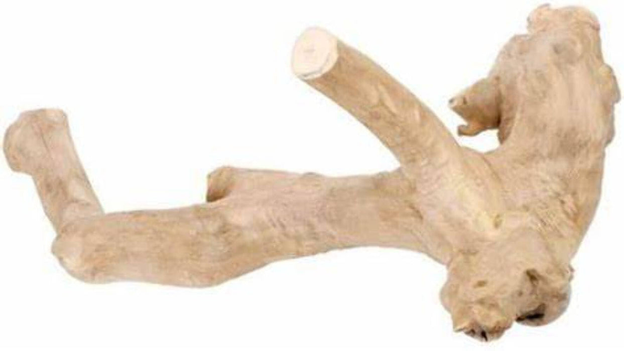 JAVA WOOD REPTILE BRANCH