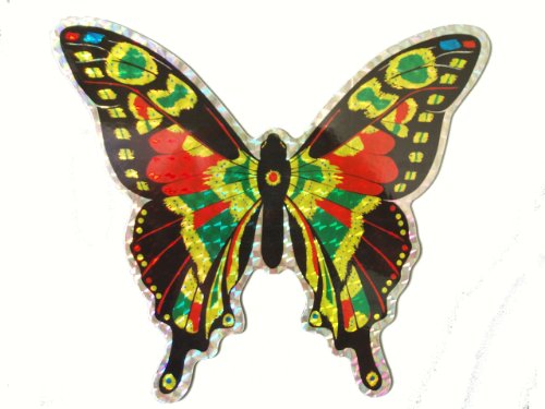 Large Multi Colored Butterfly Door Screen Saver