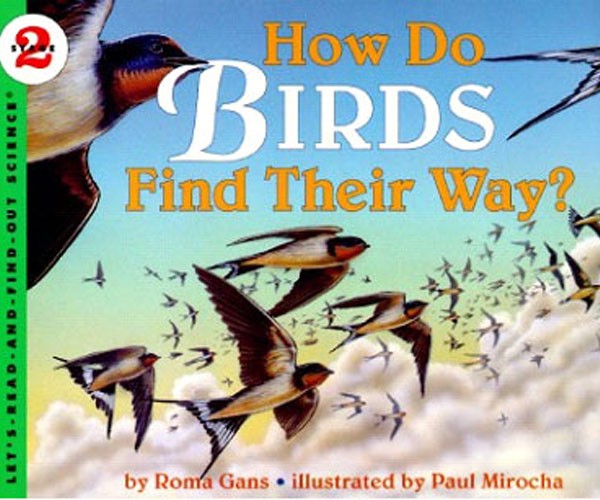 How Do Birds Find Their Way