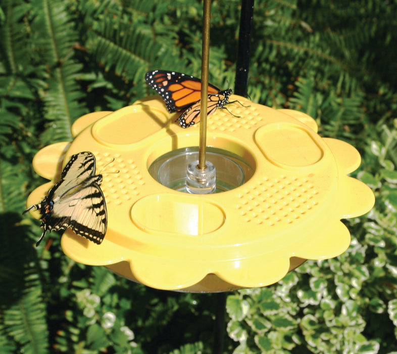 Birds Choice Flutterby Butterfly Feeder-12 oz. with Fruit Trays