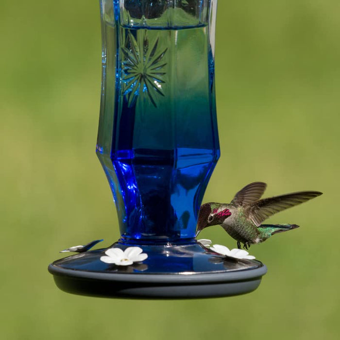 Sapphire Starburst Vintage Feeder