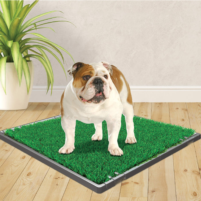 Four Paws Wee-Wee Artificial Grass Dog Training Puppy Pee Pad