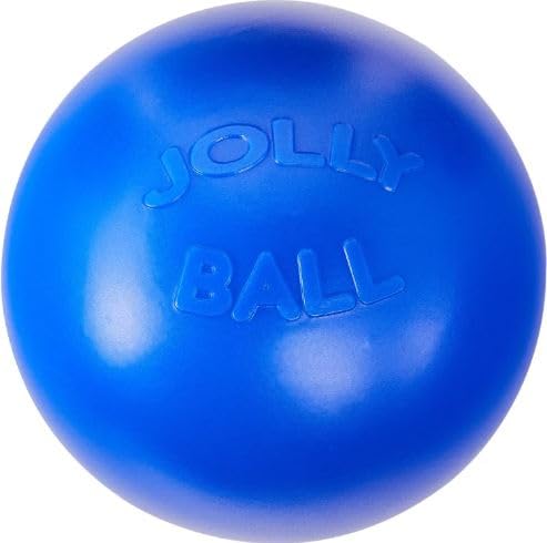 JOLLY PETS PUSH-N-PLAY BALL