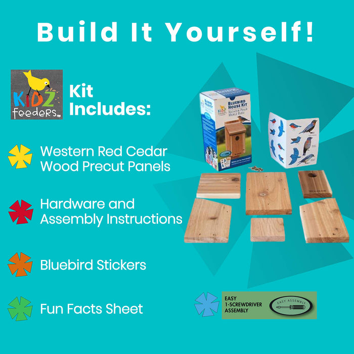 AUDUBON DIY CRAFT KIT BLUEBIRD HOUSE