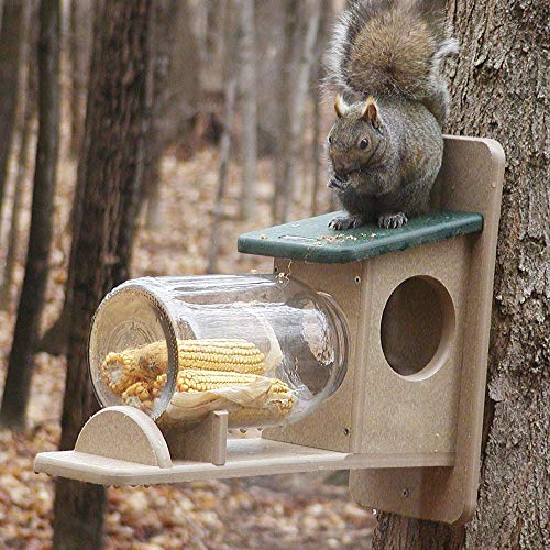 Birds Choice SNSQJAR Recycled Squirrel Jar Feeder, Squirrel Feeders, 7-1/4"L X 19"W X 15-3/4"H, Taupe w/ Green Roof