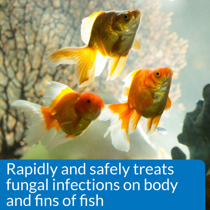 API PIMAFIX ANTIFUNGAL FISH MEDICATION