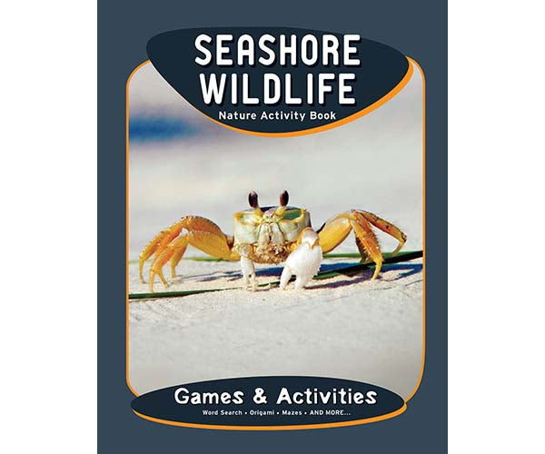 Seashore Wildlife Nature Activity Book