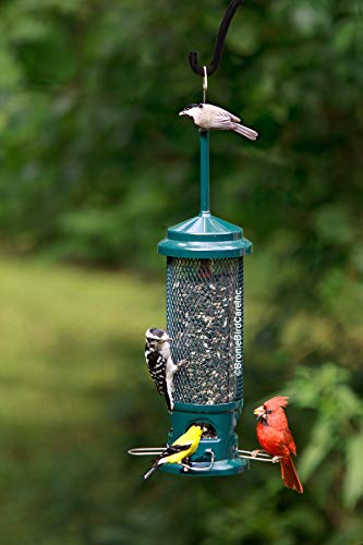 Squirrel Buster Legacy Squirrel-Proof Bird Feeder w/4 Metal Perches, 2.6-Pound Seed Capacity