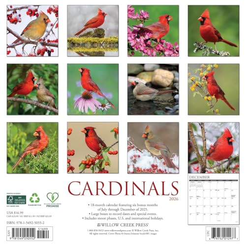 Willow Creek Press Cardinals 2026 Calendar