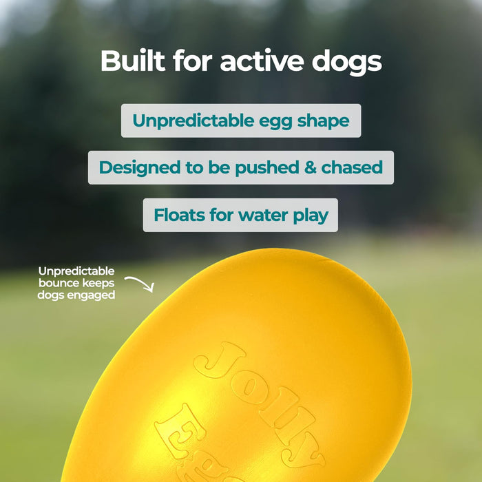 JOLLY PETS EGG