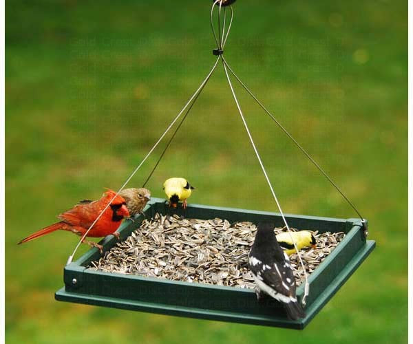 Songbird Essentials: Hanging Platform Feeder