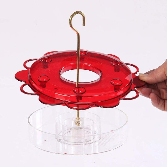 Naturesroom Hummingbird Feeder Kit by Birds Choice (Feeder with Nectar)