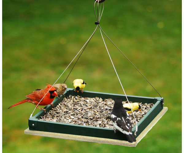 Songbird Essentials: Hanging Platform Feeder Hunter Driftwood