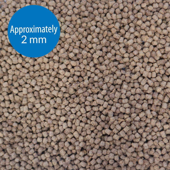 API BETTA PELLET FOOD