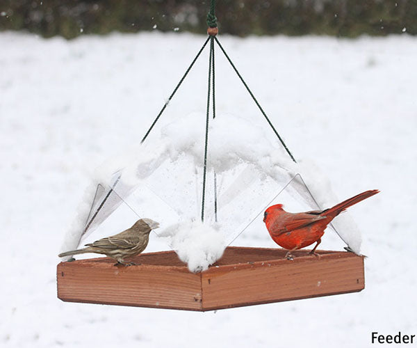 Platform Bird Feeders: 9 x 9 Super Tray w-Cover Feeder