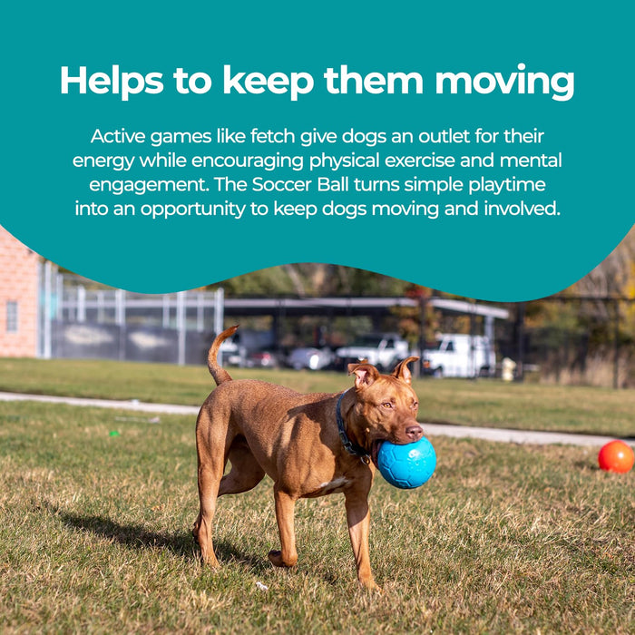 JOLLY PETS SOCCER BALL