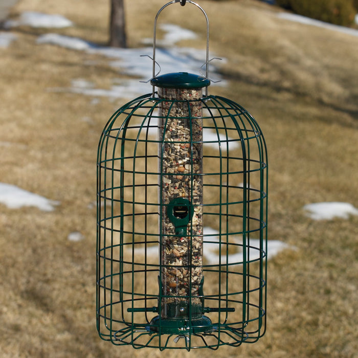 AUDUBON SQUIRREL-RESISTANT CAGED TUBE FEEDER