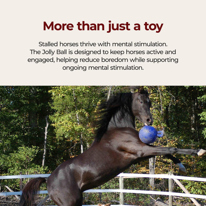 JOLLY PETS TUG-N-TOSS BALL