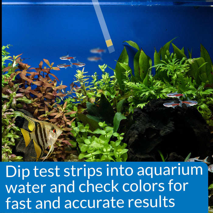 API AMMONIA AQUARIUM TEST STRIPS
