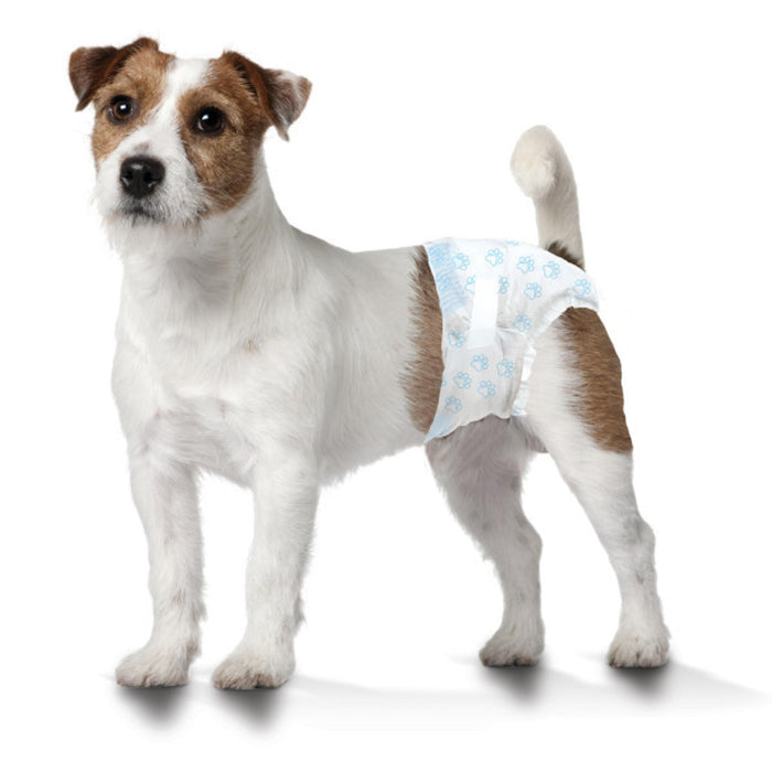 WEE-WEE DISPOSABLE DIAPERS