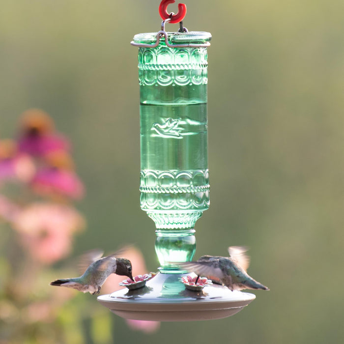 Perky-Pet Glass Hummingbird Feeders for Outdoors - Antique Bottle Style Bird Feeder - 10 Oz Humming Bird Feeders for Outdoor Garden Decor